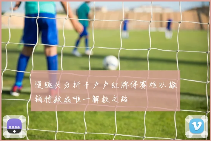 慢镜头分析卡卢卢红牌停赛难以撤销特赦成唯一解救之路