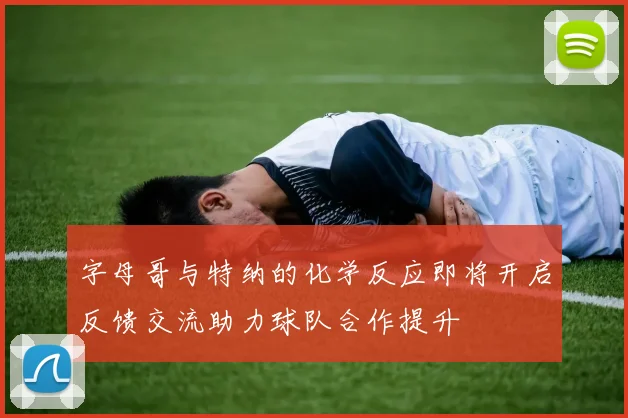 字母哥与特纳的化学反应即将开启反馈交流助力球队合作提升