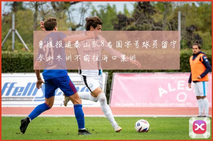 鲁媒报道泰山队8名国字号球员留守参加冬训不前往海口集训