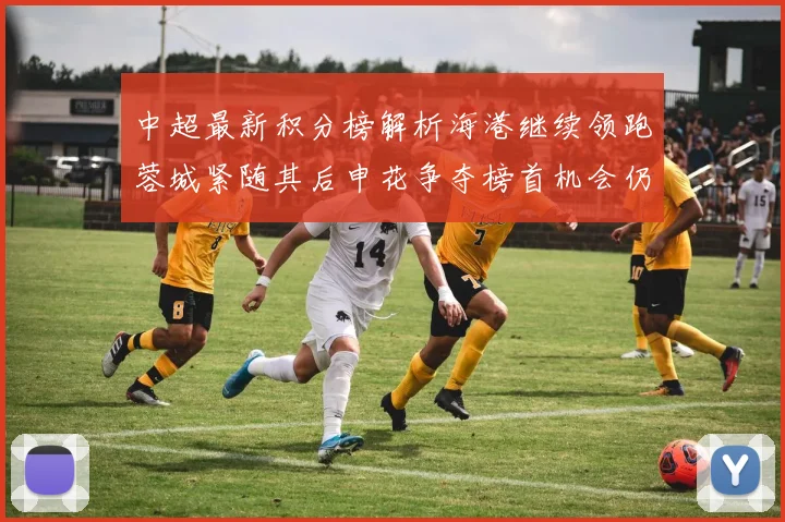 中超最新积分榜解析海港继续领跑蓉城紧随其后申花争夺榜首机会仍在