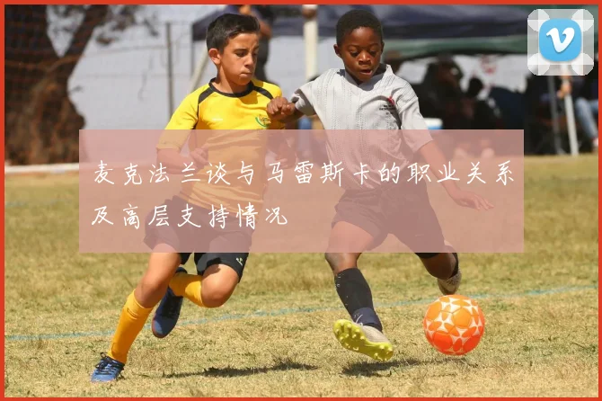 麦克法兰谈与马雷斯卡的职业关系及高层支持情况