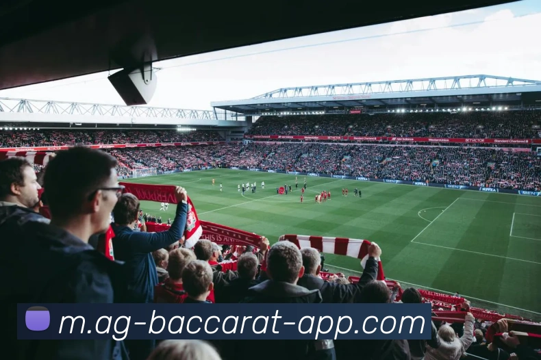 AG百家乐平台生态图